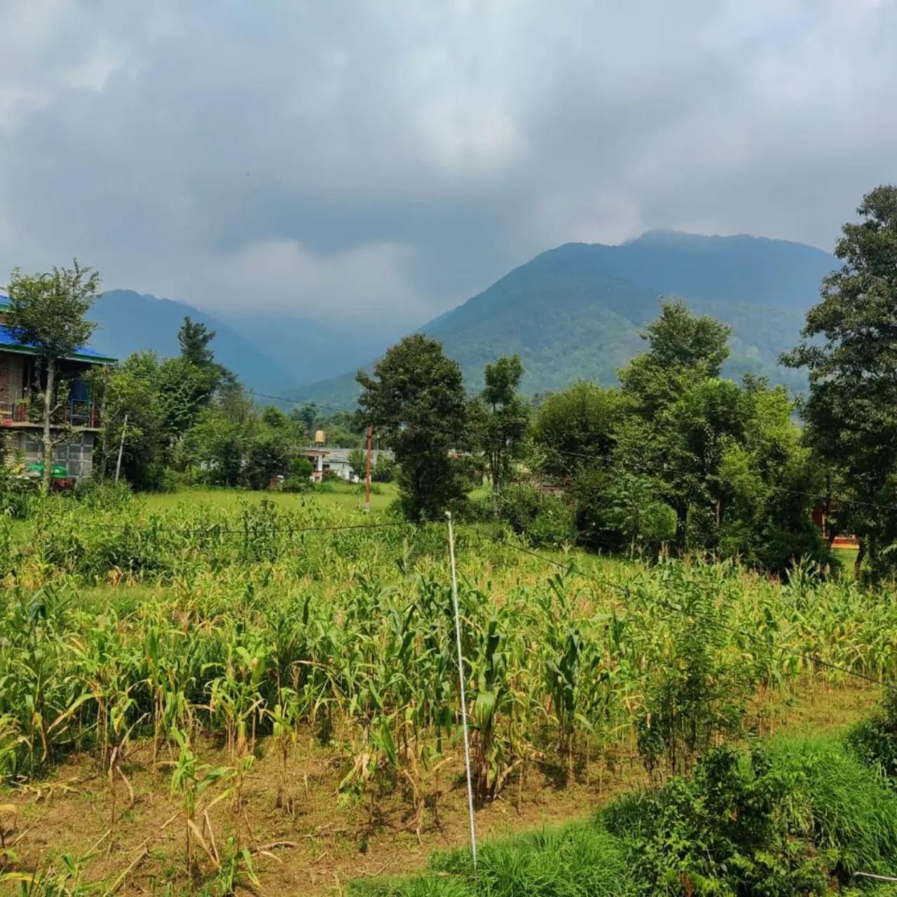 Aditya Homestay Bir-Billing Surrounded By Mountains Kültér fotó