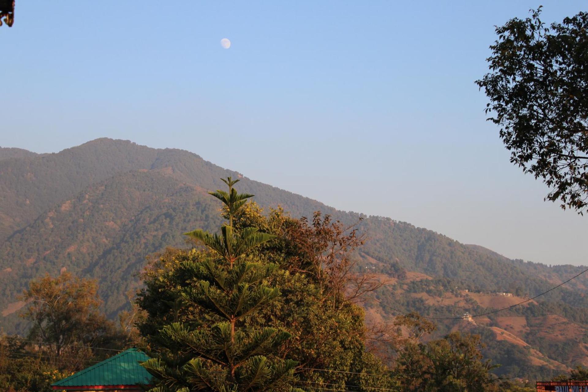 Aditya Homestay Bir-Billing Surrounded By Mountains Kültér fotó